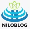 شرکت برنامه نویسی کدینو